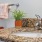 bathroom with a sink with a plant on it